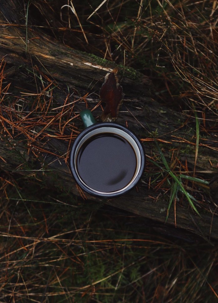 Bean Enamel Mug - Dark Green