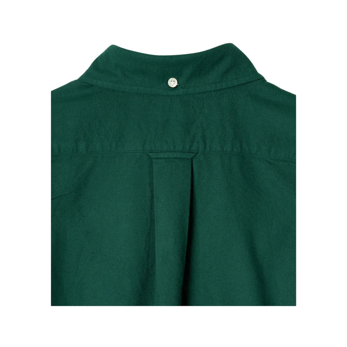 Chemise Vintage Ivy Brushed Oxford - Green